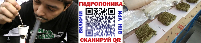 Купить  Унеча  Шишки марихуана LSD WEED 